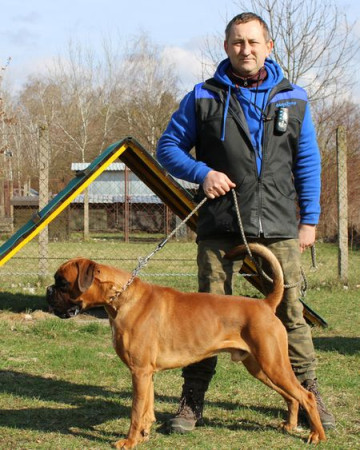Ingr Jiří
